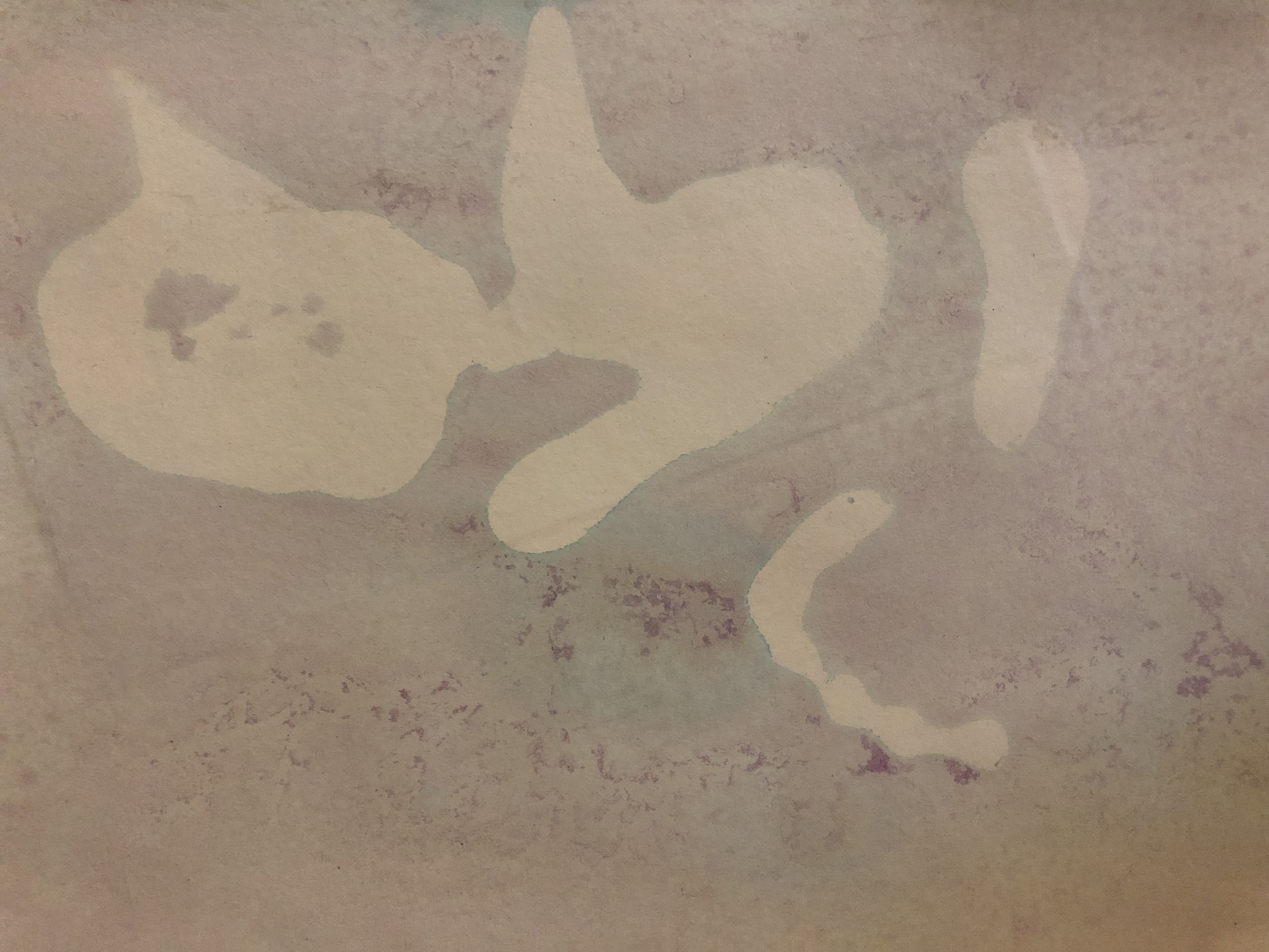 wire image (two-sides)