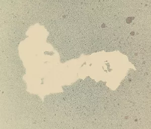 original proof print