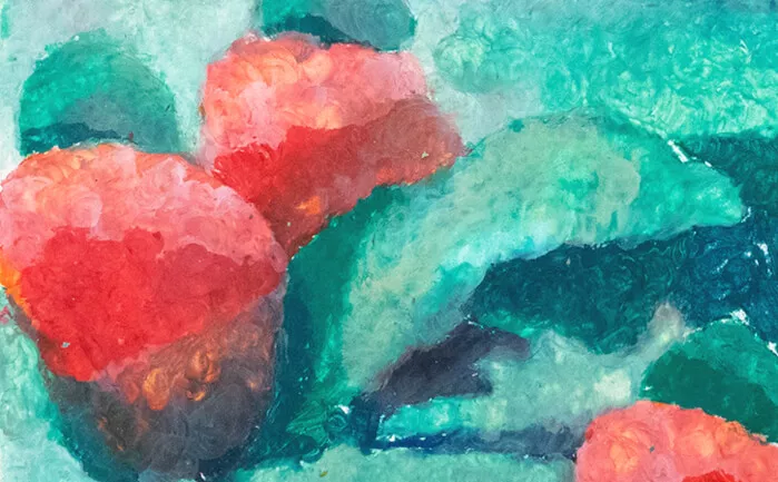 field of berries drawing