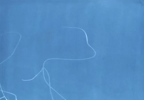 wire print (from five studies)