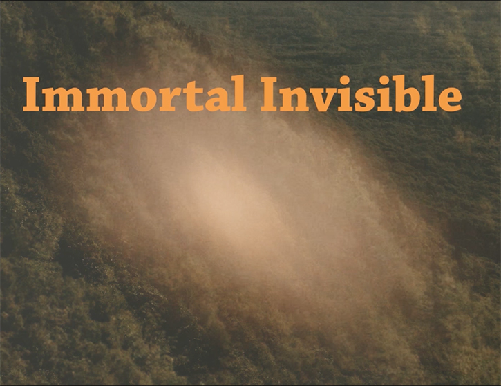 immortal invisible titles